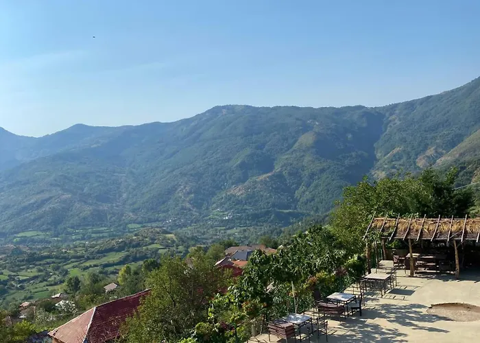 Bujtina Shen Meria *